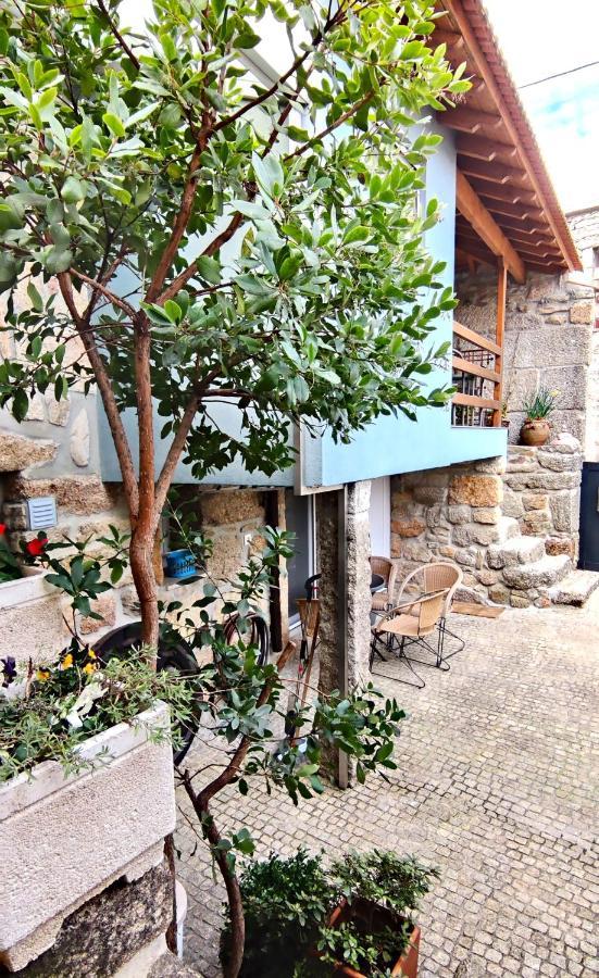 Casa Rural D 'Avo - Sossego Do Campo - 5 Adultos Alhais Kültér fotó